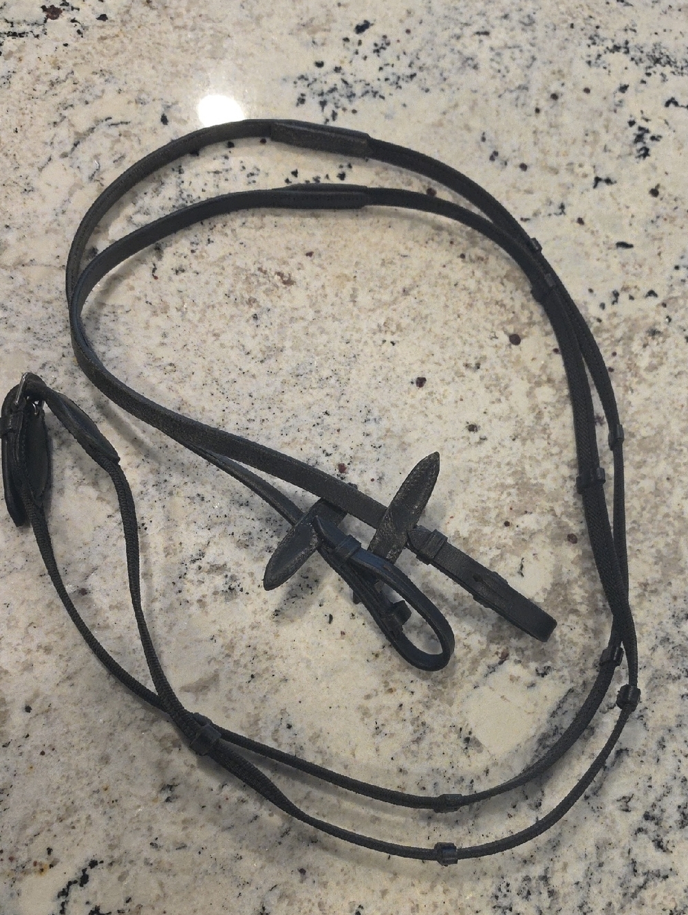 Black Leather Reins with Buckle Detailing